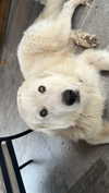 analuvillarreal Altpins Profile Picture