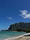maori_cohen Altpins Profile Picture
