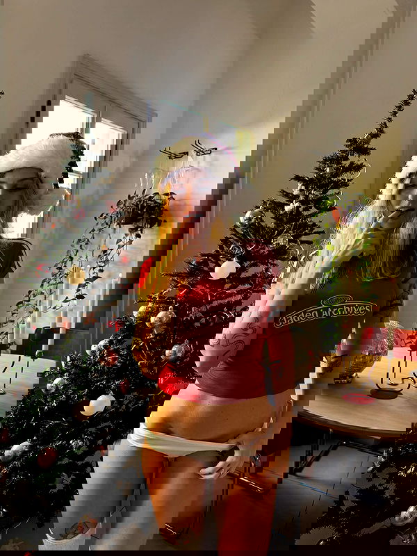 iambohema.v2 iambohema.v2 archive image