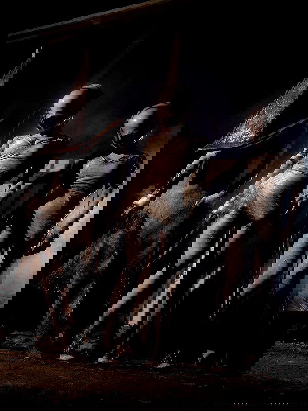 milkgore milkgore archive image