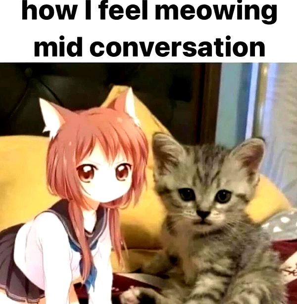 lucin4te instagram image archive image