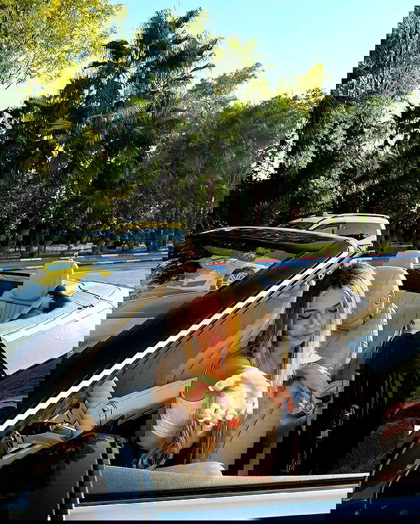 pinx_ir pinx_ir archive image