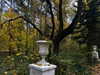 forestowwwl Altpins Profile Picture
