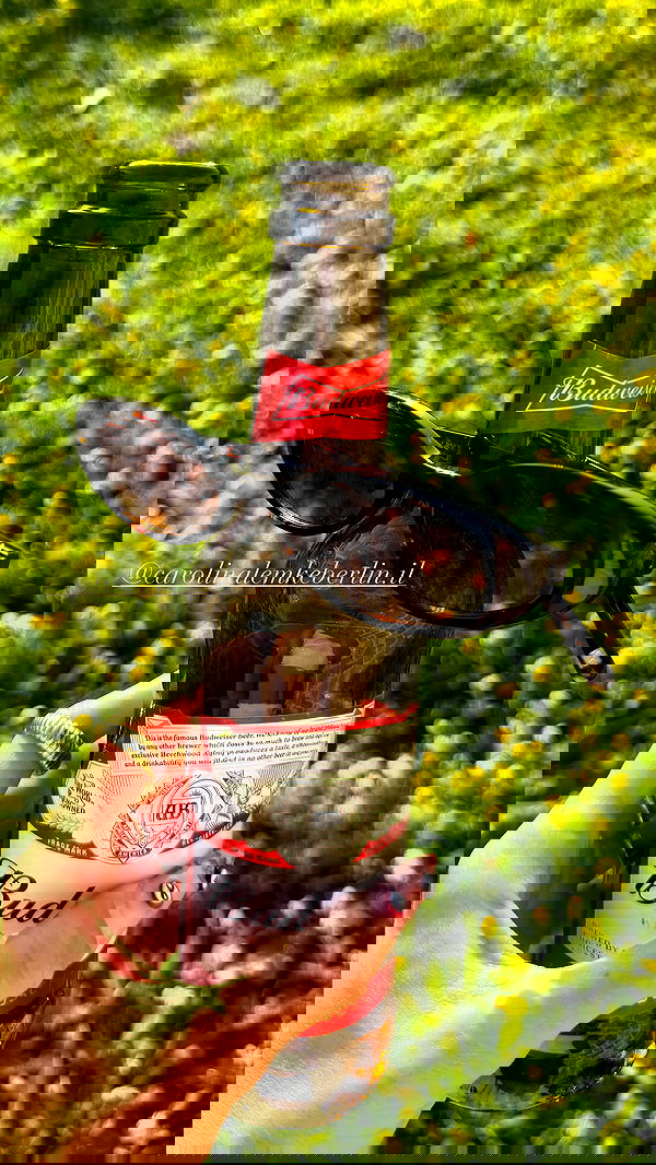 efrat_elmalich efrat_elmalich archive image