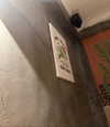 indra0102_ Altpins Profile Picture
