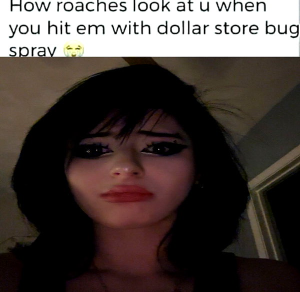 malmalirl instagram image archive image