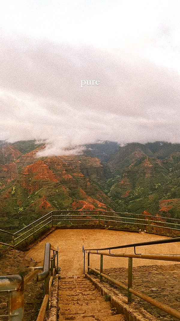 pia__kim archive image
