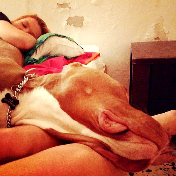 leebarbie instagram image archive image