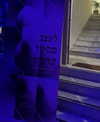 ada_hefetz Altpins Profile Picture