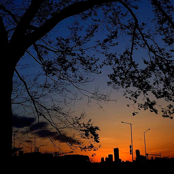 daxbin instagram image archive image