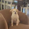 madelame Altpins Profile Picture