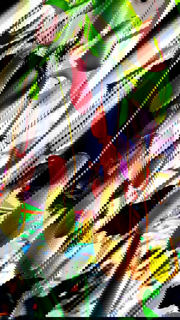 1justsabi 1justsabi archive image