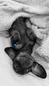 maya.keyy Altpins Profile Picture