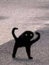 kayyybear Altpins Profile Picture