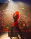 xtina Altpins Profile Picture