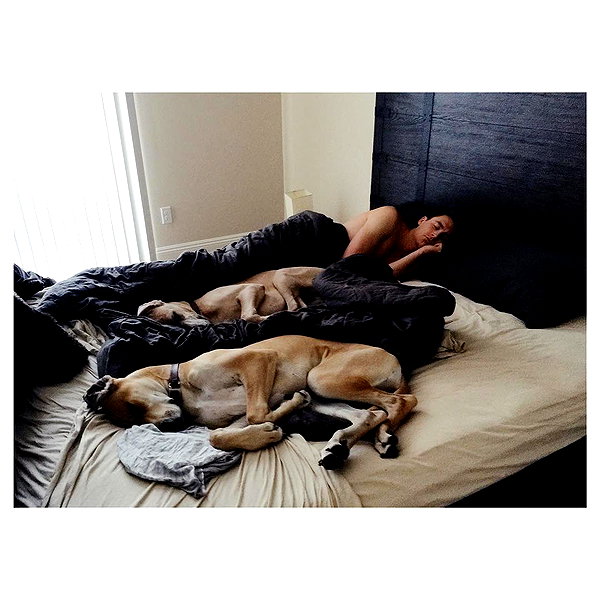 sashapieterse instagram image archive image