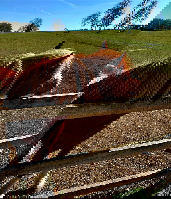 taylor.creeden taylor.creeden archive image