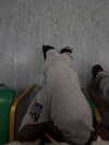 _m_a_y_c_ Altpins Profile Picture