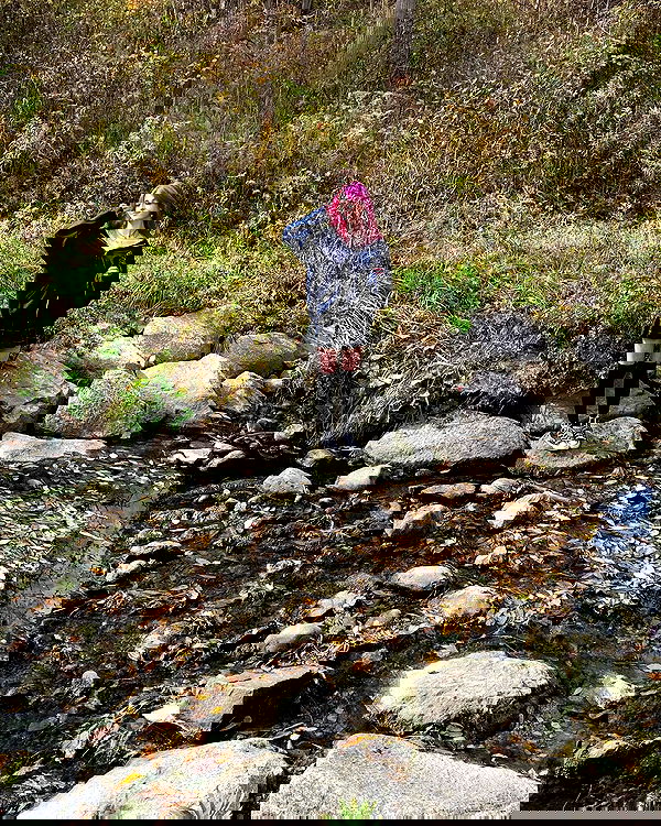 9bitez 9bitez archive image