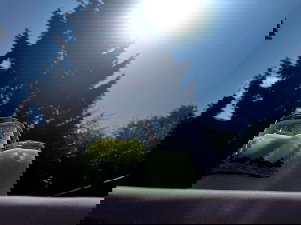 kitty.elliss kitty.elliss archive image