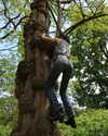 reneeebeller Altpins Profile Picture