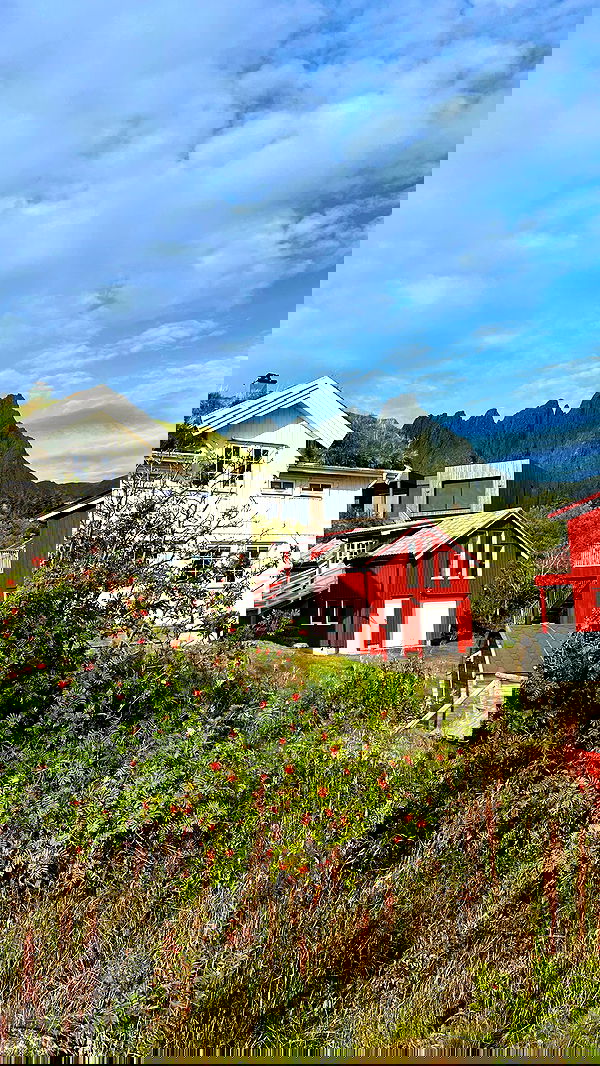 taylor.creeden taylor.creeden archive image