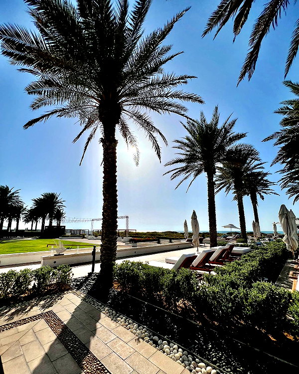barzomer instagram image archive image