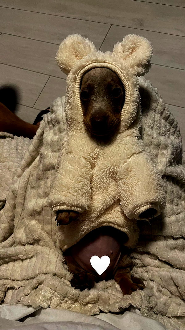 borkwsmh instagram image archive image