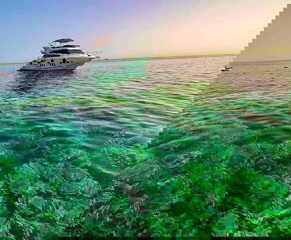 taylor.creeden taylor.creeden archive image