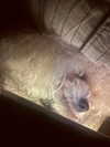 ll.lu1s Altpins Profile Picture