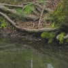 livia._.paige Altpins Profile Picture