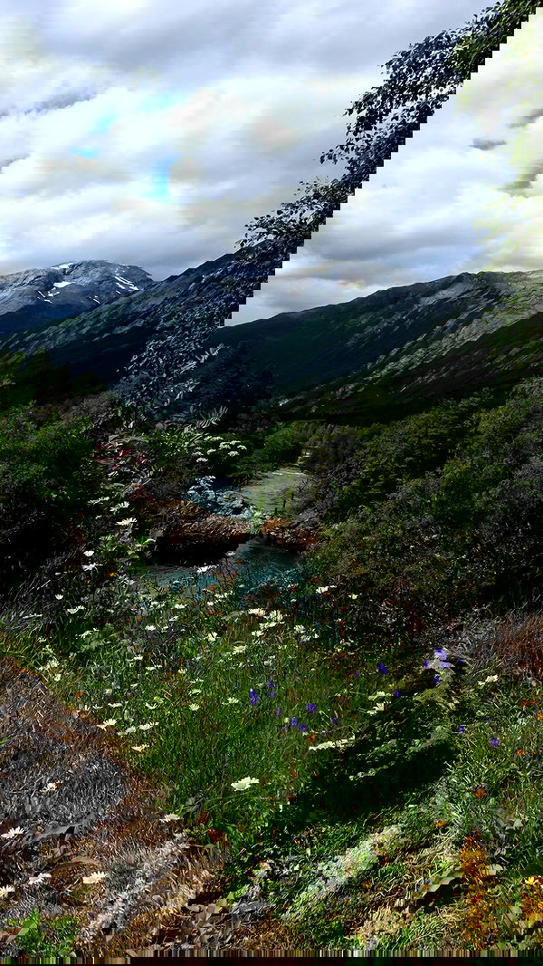 taylor.creeden taylor.creeden archive image