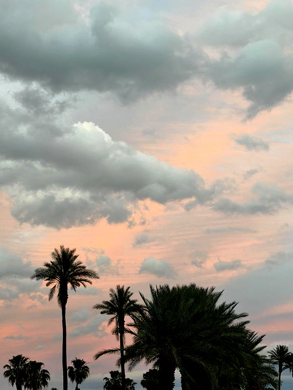 leahhalton instagram image archive image