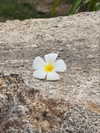 bymonamarie Altpins Profile Picture