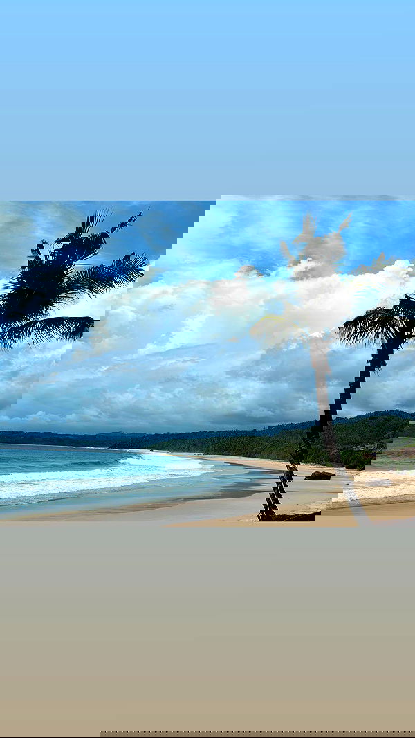 taylor.creeden taylor.creeden archive image