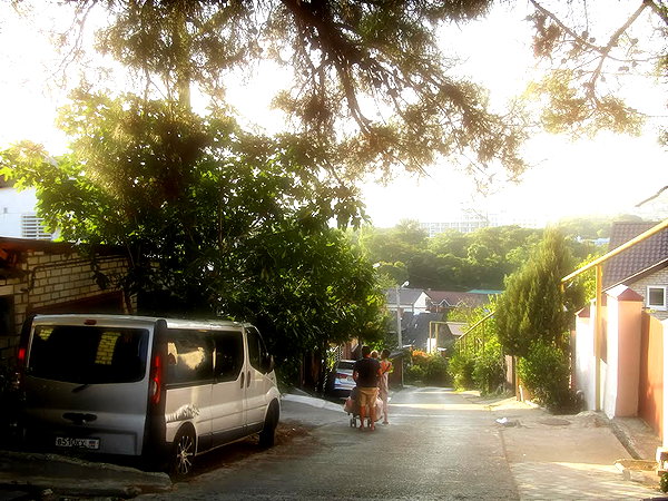 thekallinan instagram image archive image