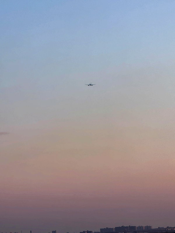 reneeebeller instagram image archive image
