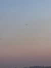 reneeebeller Altpins Profile Picture