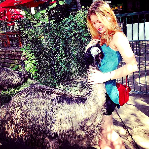 alexandradaddario instagram image archive image
