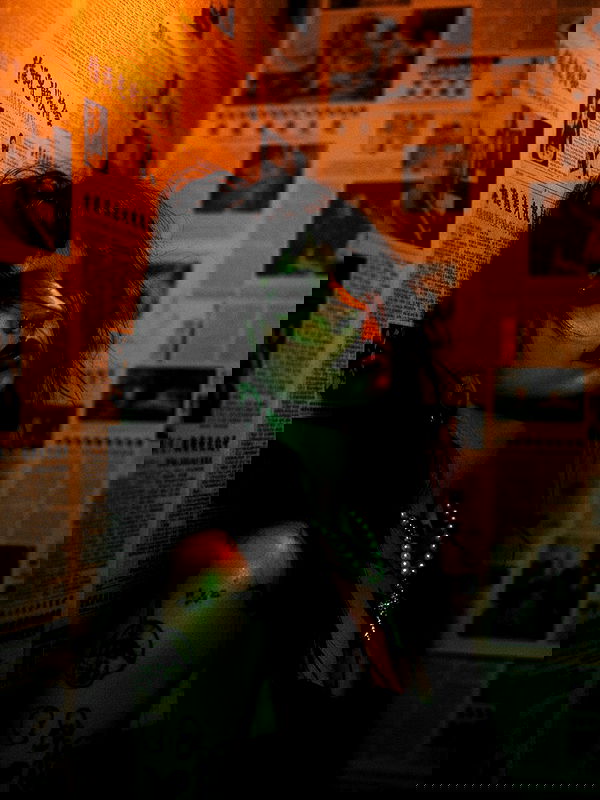 strawberryshanz strawberryshanz archive image