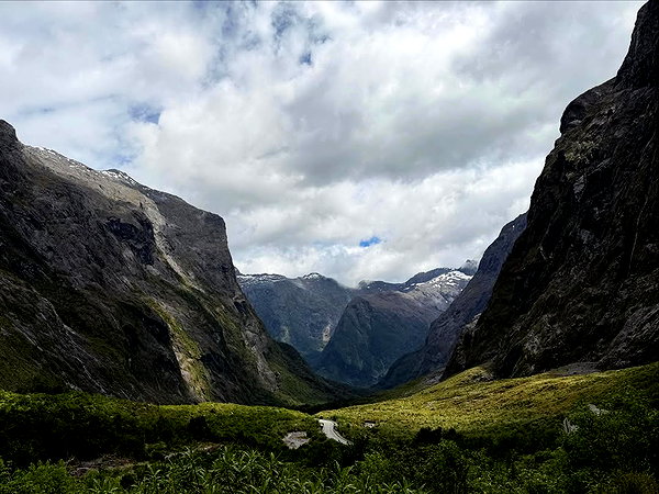 maori_cohen instagram image archive image