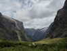 maori_cohen Altpins Profile Picture