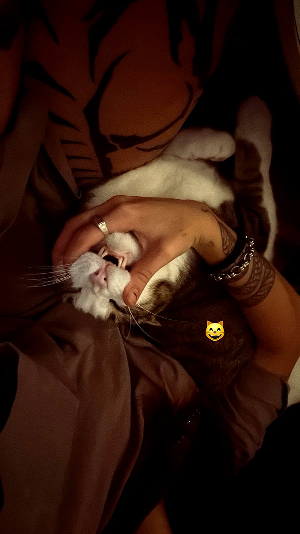 shaharo__._ instagram image archive image