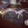 sashapieterse Altpins Profile Picture
