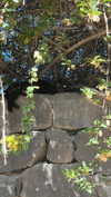 _broock_ Altpins Profile Picture