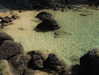 gritsa.k Altpins Profile Picture
