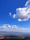 nikolpeleg Altpins Profile Picture