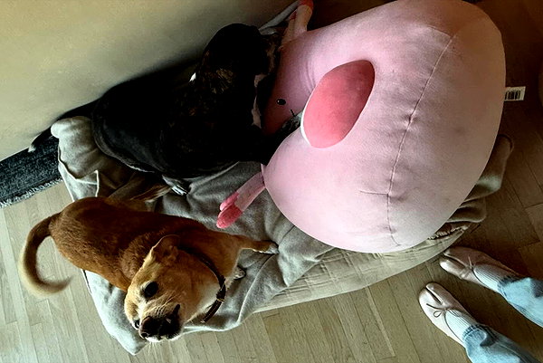 arianagrande instagram image archive image