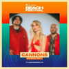 cannonstheband Altpins Profile Picture