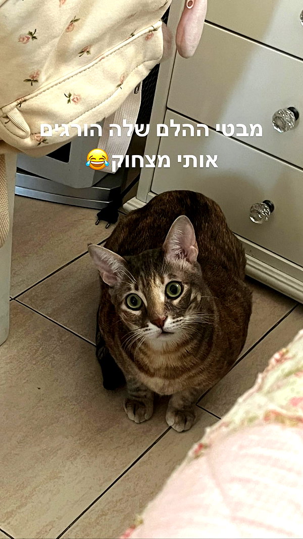 Archived image from @notchicore on Instagram